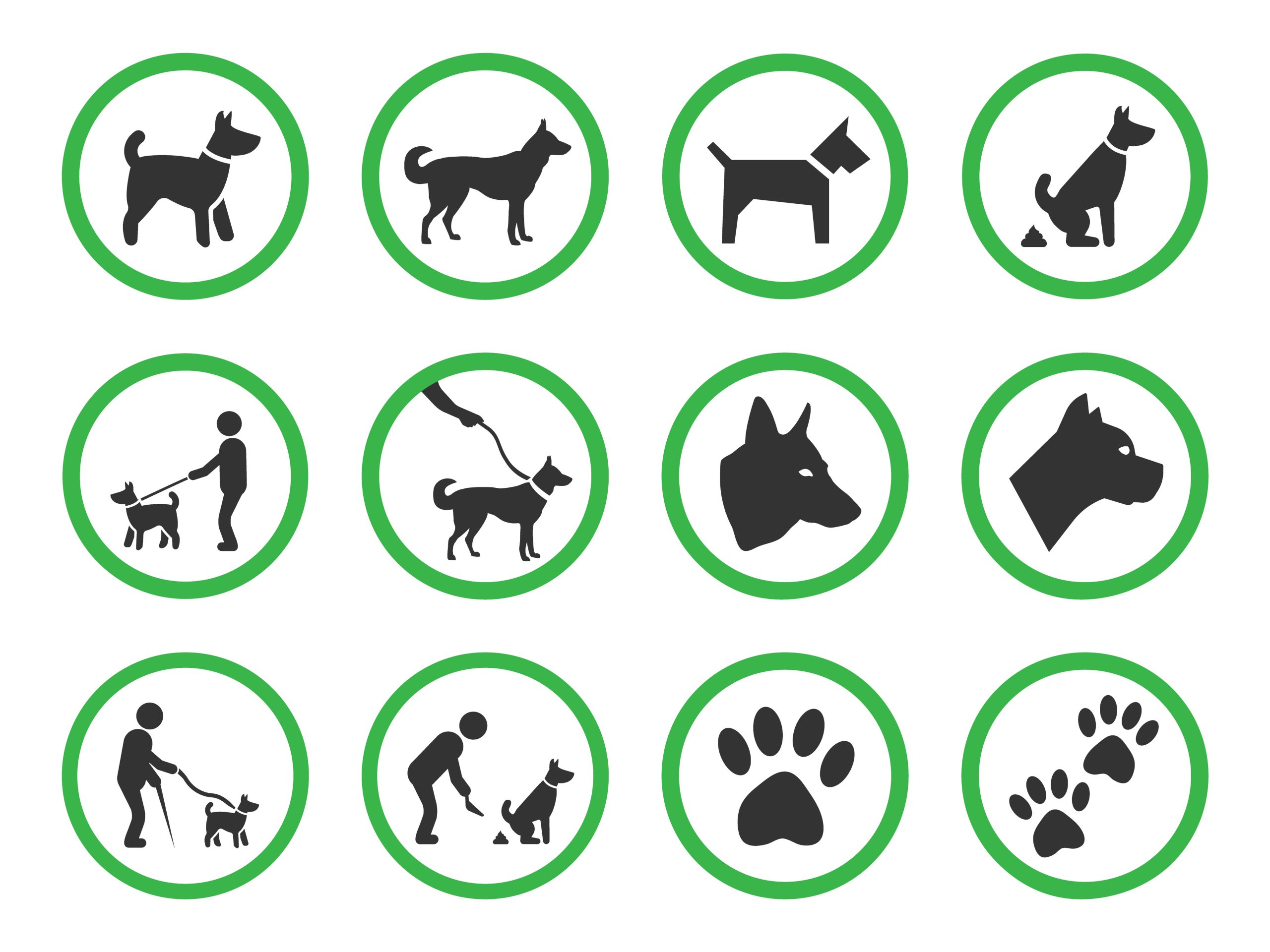 Erlaubnispflicht nach § 11 TierSchG für Hundetrainer, Heimtierzucht und Tierpensionen